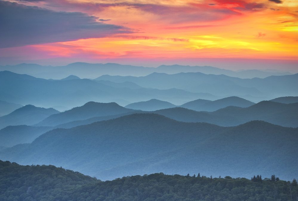 skuteczne dążenie do celu