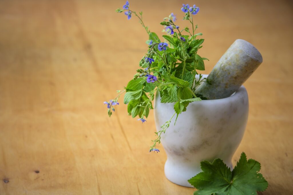 medycyna naturalna - terapie
